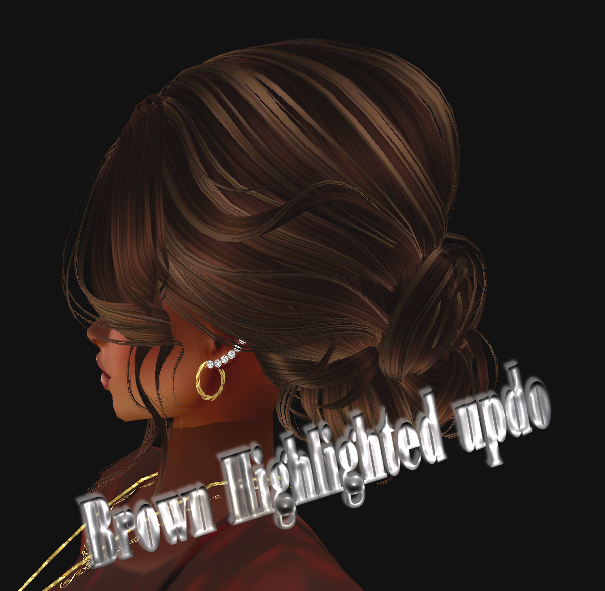  photo Brown Highlighted updo.png