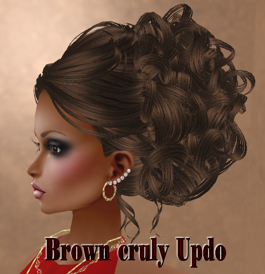  photo Brown cruly Updo.png