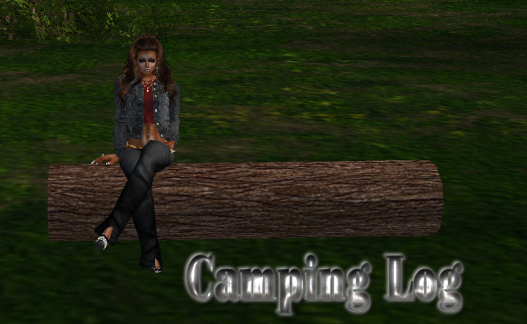  photo Camping Log.png