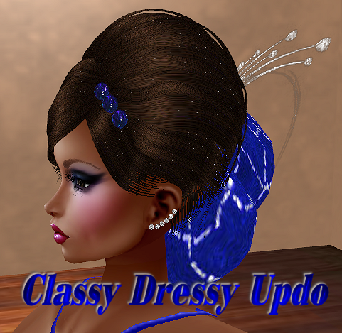  photo Classy Dressy Updo.png