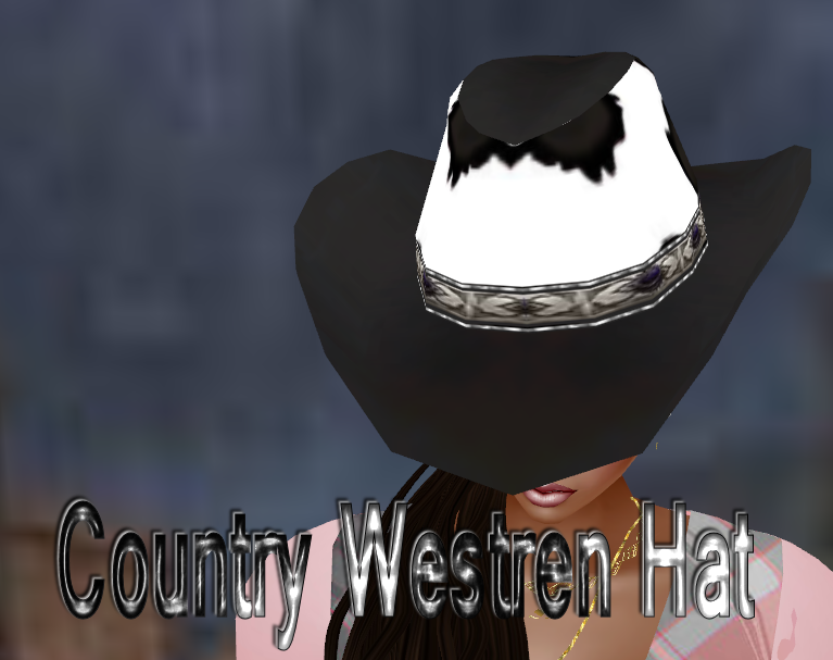  photo Country Westren Hat.png