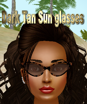  photo Dark Tan SunGlasses.png