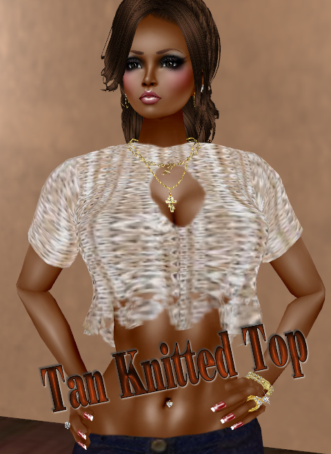  photo Tan Knitted Top.png