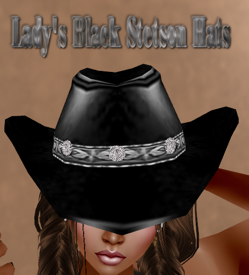  photo Ladys Black Stetson Hats.png