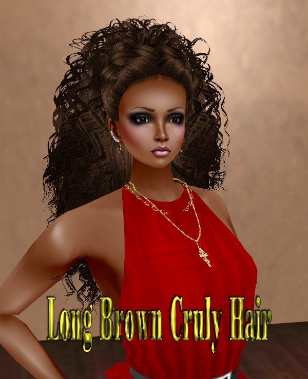  photo Long Brown Cruly Hair.png