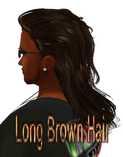  photo Long Brown Hair.png
