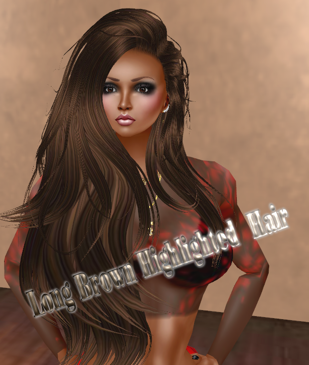  photo Long Brown Highlighted  Hair.png