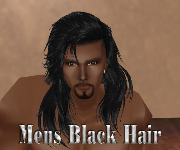  photo Mens Black Hair.png