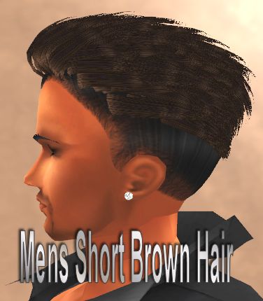  photo Mens Short Brown Hair.png