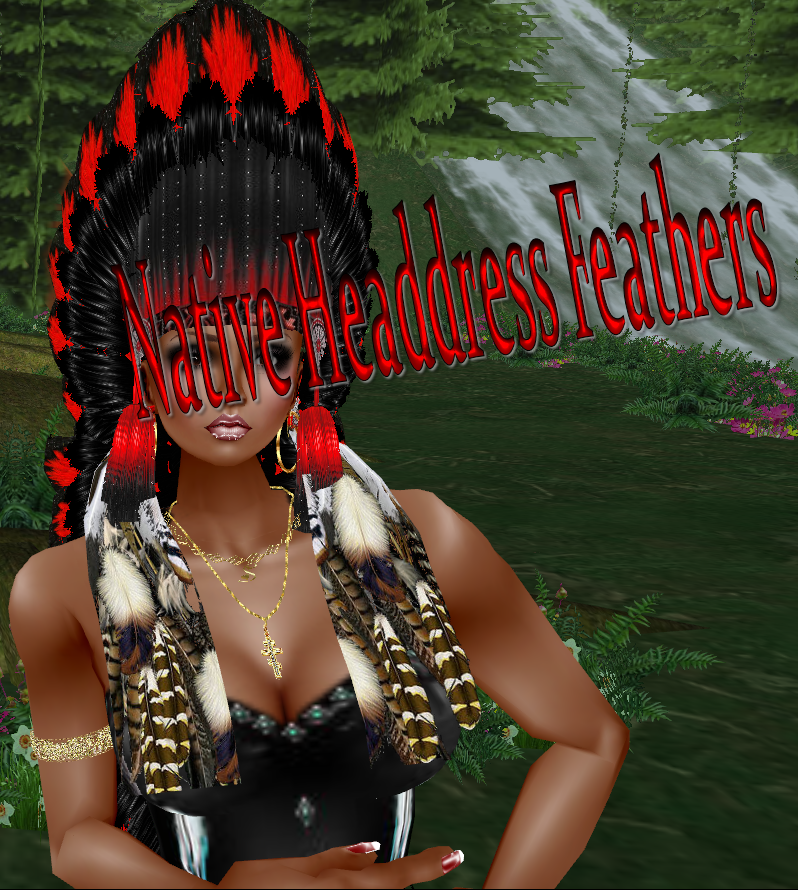 photo Native Headdress Feathers.png