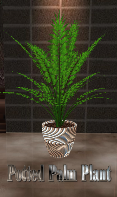  photo Potted Palm Plant.png