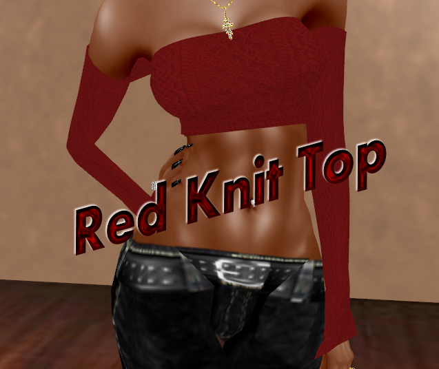  photo Red Knit Top.png