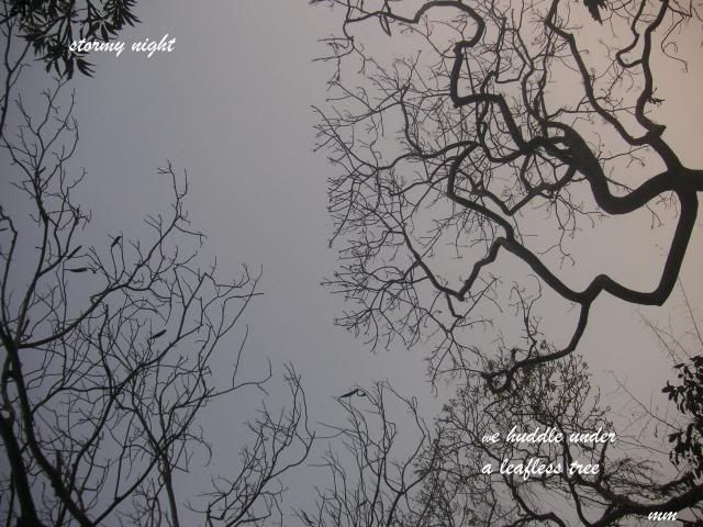 [Image: madhavan_stormynight_zps3af4964f.jpg]