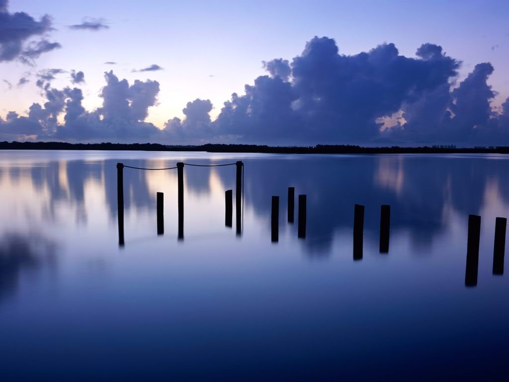 Peace, be still. Calmness of the mind is one of the beautiful jewels of wisdom. It is the result of long and patient effort in self control.