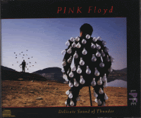 Pink Floyd - Delicate Sound of Thunder