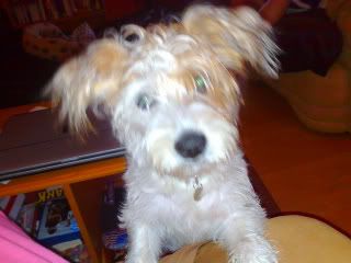 12082008164-1.jpg