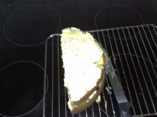 phonepics260-1-1.jpg