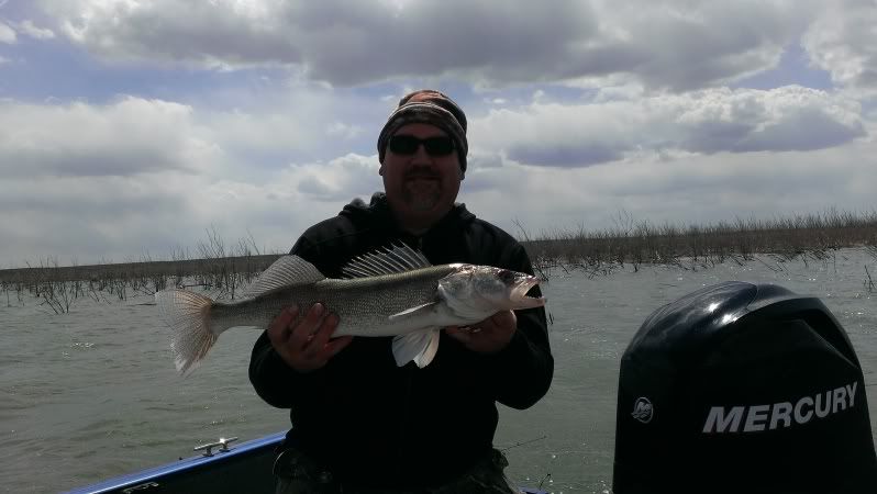 kansas crappie ass Mcdonalds strip search louise