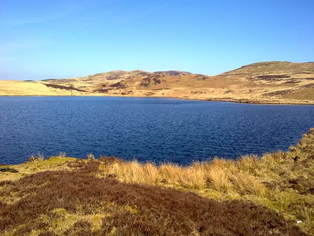 11042010012-1.jpg