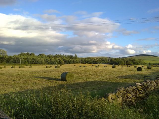 28072010062.jpg