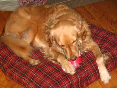 Griffin and the Peanut Butter Jar