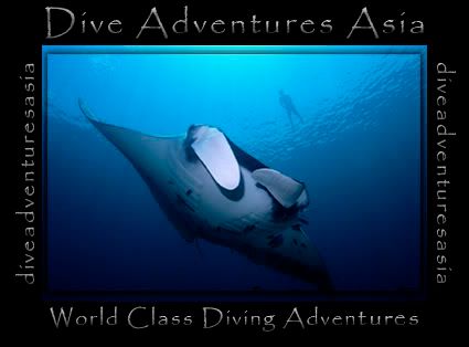 Dive Adventures Asia