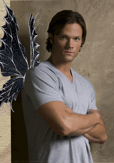 My sammy boy