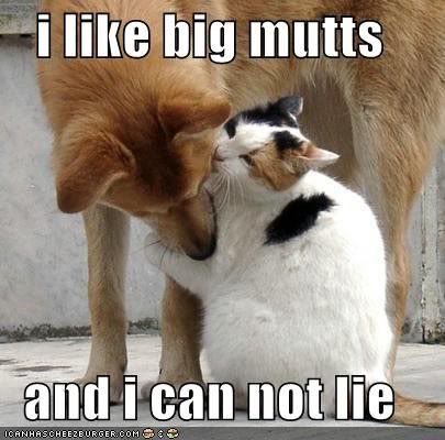 bigbutts.jpg