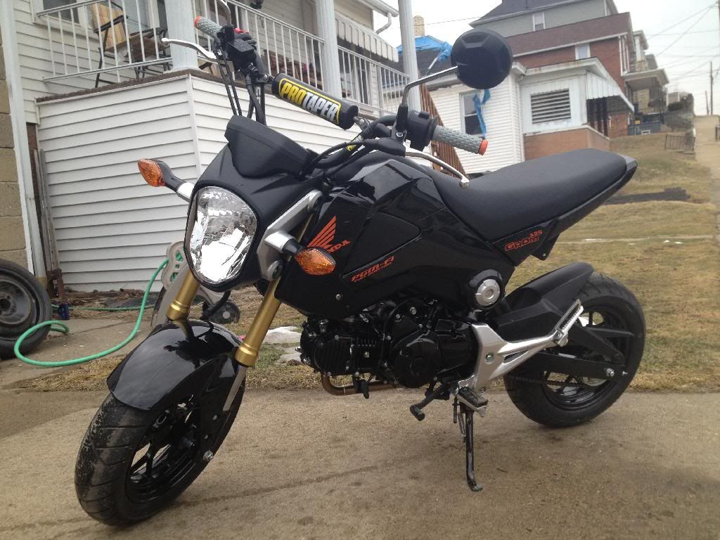 Pro taper xr50 grom Clearance