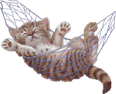 CuddleCatLogoclear1.gif Cat in hammock