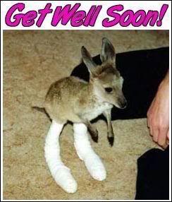 GetWellSoon-Kangaroo.jpg