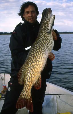 German Pike on a Castaic