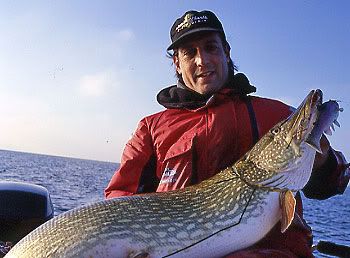Another Giant German Pike