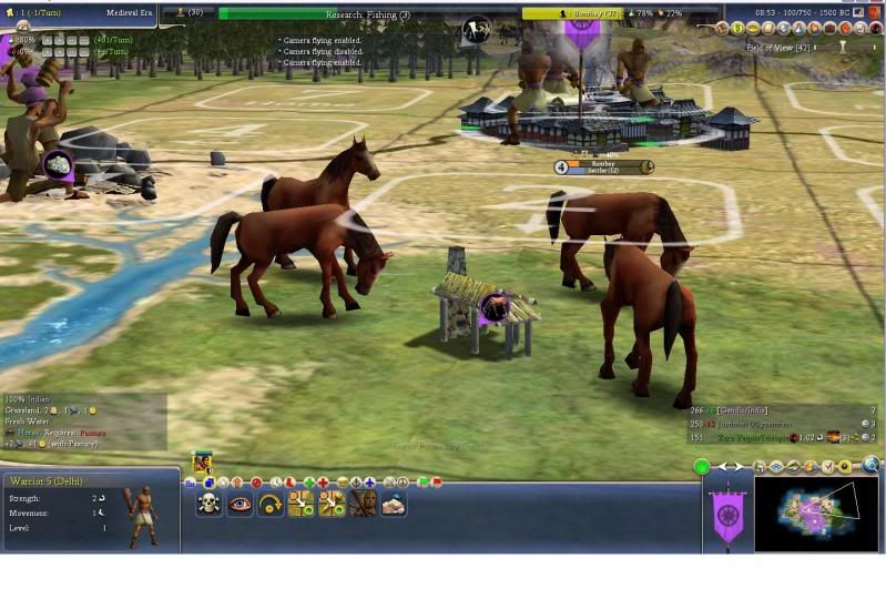 horses.jpg
