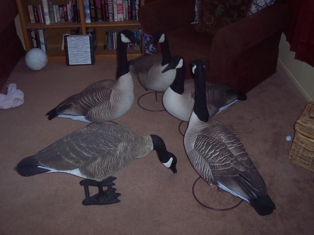 Goose Hunting Chat • Proper decoy paint color Goose Decoy Forum