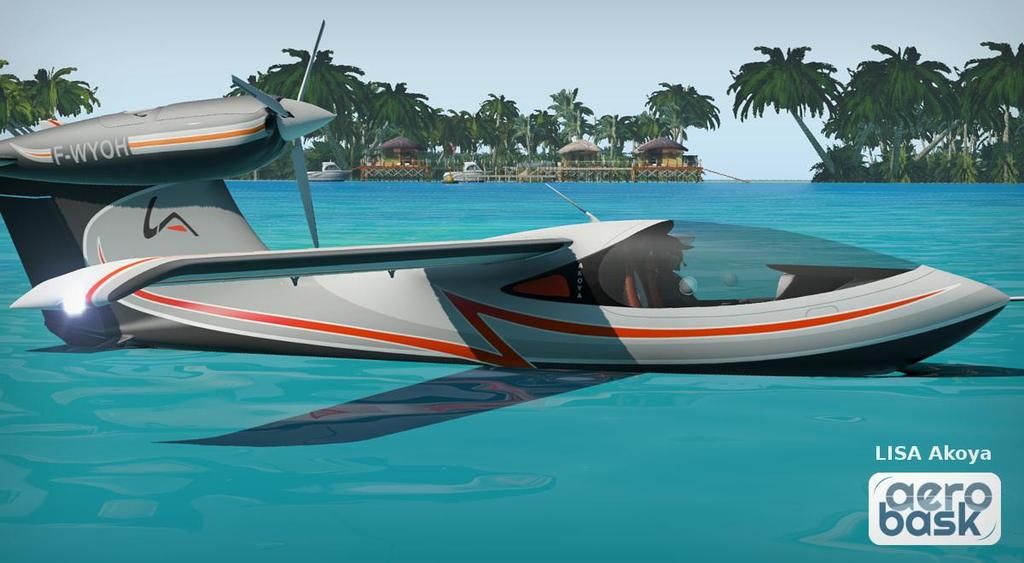 akoya-1.jpg.81ebf75268513525cbc2db7beb3fe69c_zpsxvfnmum6.jpg~original