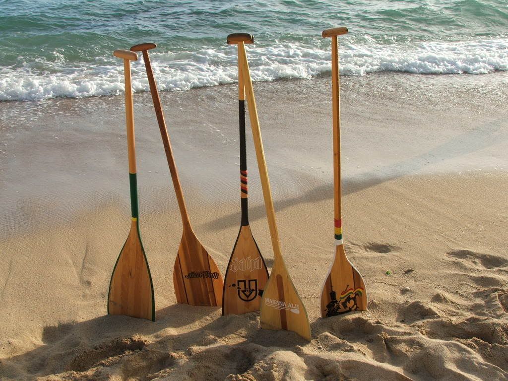 paddles Pictures, Images and Photos