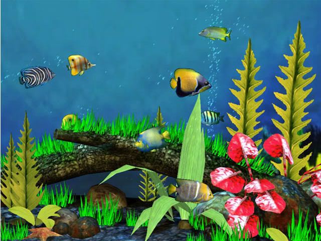 fishaqua3d_11.jpg
