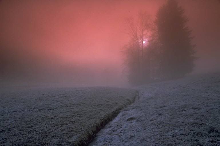nebel317hu4sv0ke.jpg