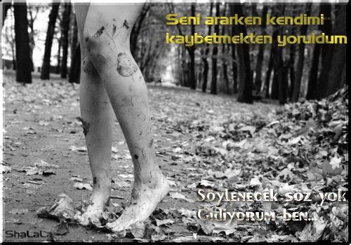sebenferahhoscakalpd3.jpg
