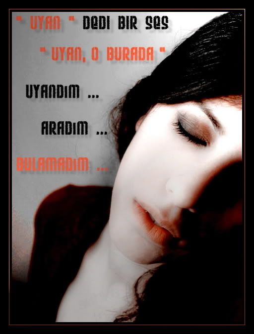 vegsabahlarinanlamifu3.jpg