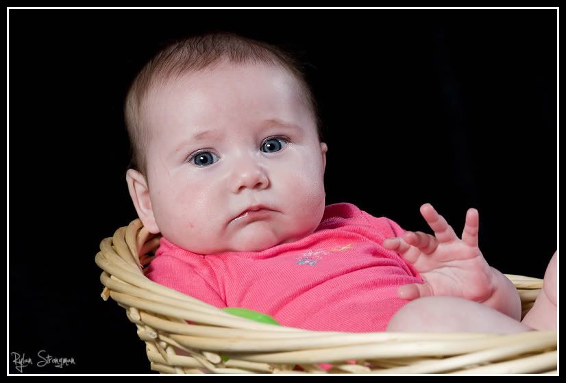 IMAGE: http://i270.photobucket.com/albums/jj95/rs-photography/Marley3.jpg