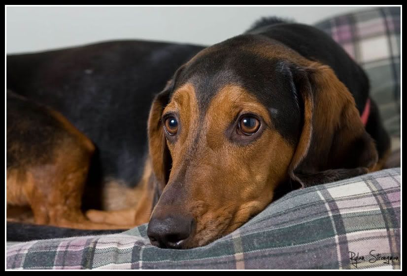 IMAGE: http://i270.photobucket.com/albums/jj95/rs-photography/fred1dfinal.jpg