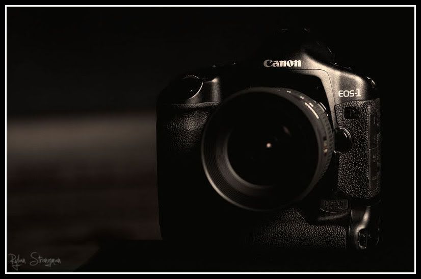 IMAGE: http://i270.photobucket.com/albums/jj95/rs-photography/my1dbodyfinal.jpg