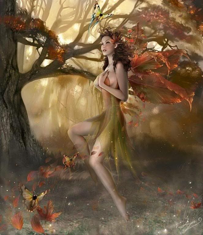 fairy Pictures, Images and Photos