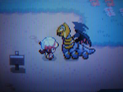 HeartGold & SoulSilver Screenies