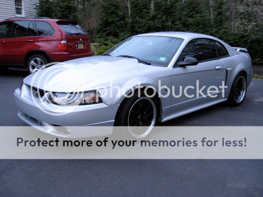 Anyone with a Cobra R cowl hood with 99-01 Cobra bumper | Page 2 ...