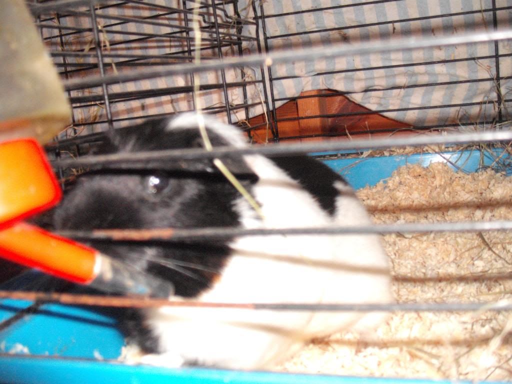 DSCF2810.jpg