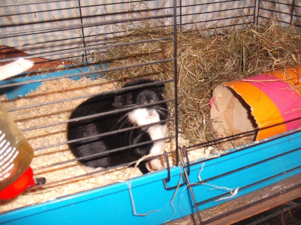 DSCF2811.jpg