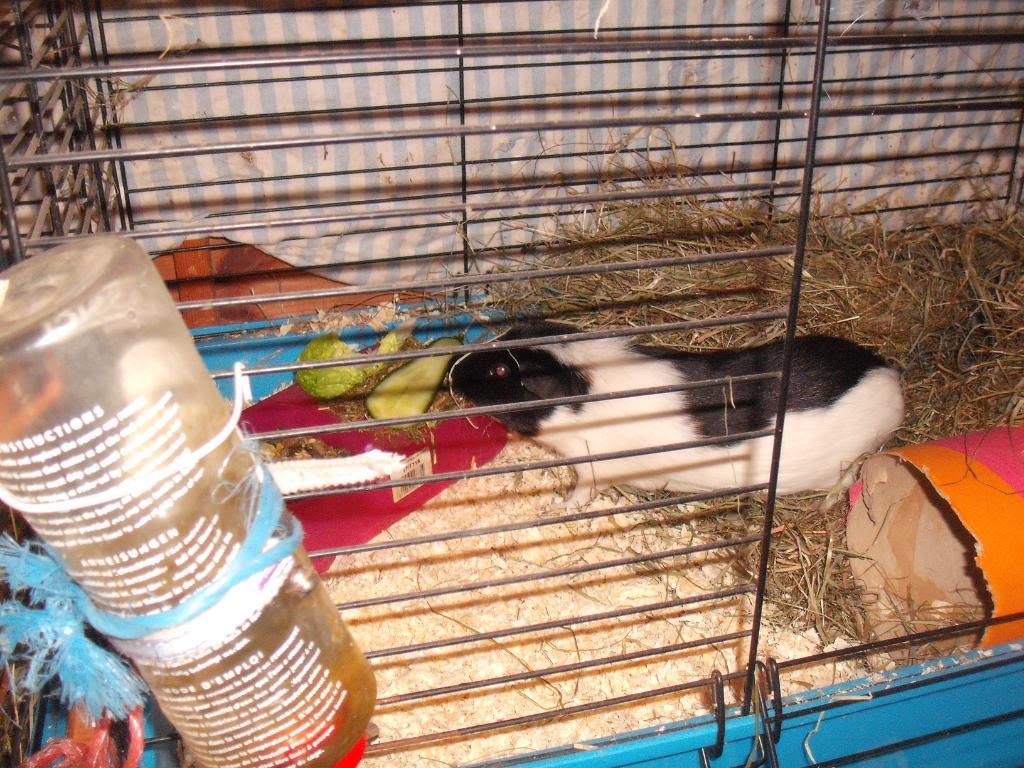 DSCF2814.jpg